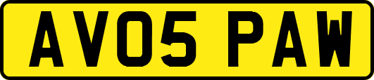 AV05PAW