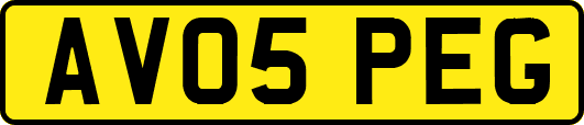 AV05PEG