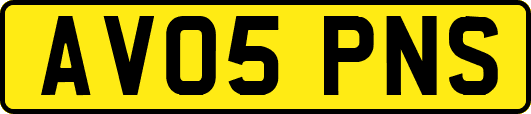 AV05PNS