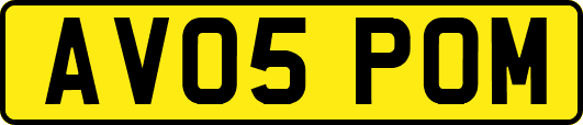 AV05POM