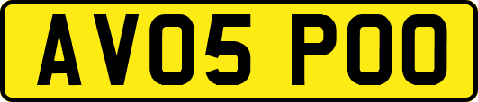 AV05POO
