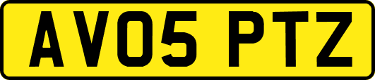AV05PTZ