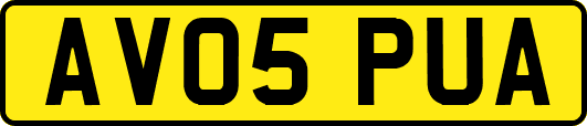 AV05PUA