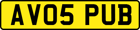 AV05PUB