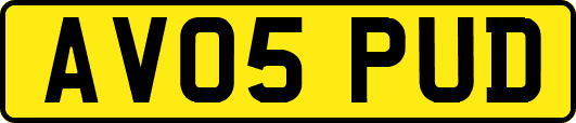 AV05PUD