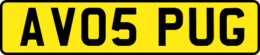 AV05PUG