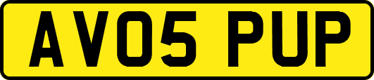 AV05PUP