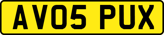 AV05PUX