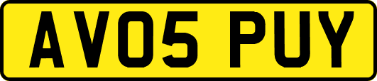 AV05PUY