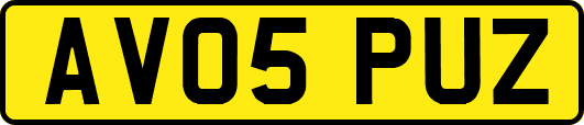 AV05PUZ