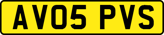 AV05PVS