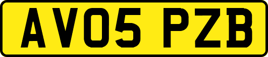 AV05PZB