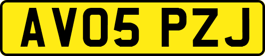 AV05PZJ