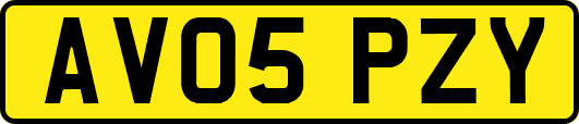 AV05PZY