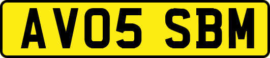 AV05SBM