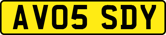 AV05SDY