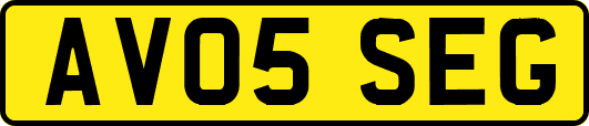 AV05SEG