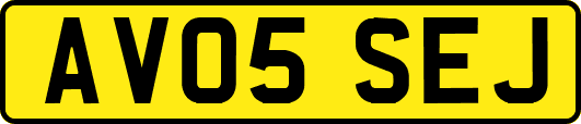 AV05SEJ