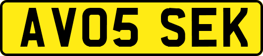 AV05SEK