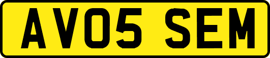 AV05SEM