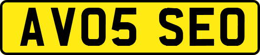 AV05SEO