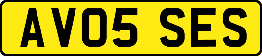 AV05SES