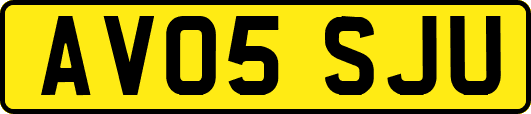 AV05SJU