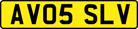 AV05SLV