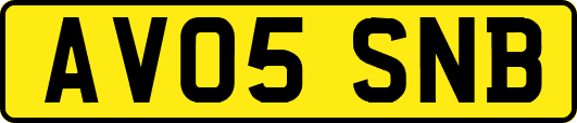 AV05SNB