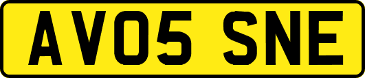 AV05SNE