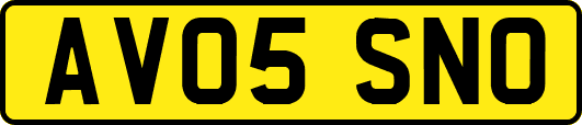 AV05SNO