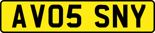 AV05SNY