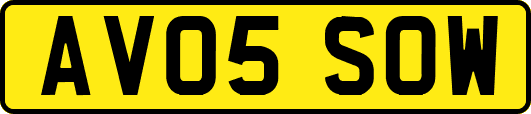 AV05SOW
