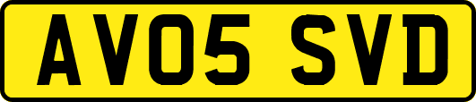 AV05SVD