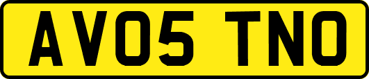 AV05TNO