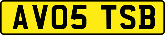 AV05TSB
