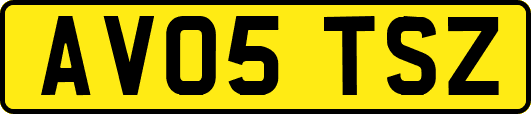 AV05TSZ