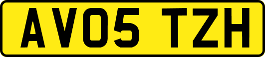 AV05TZH