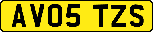 AV05TZS
