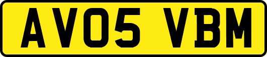 AV05VBM