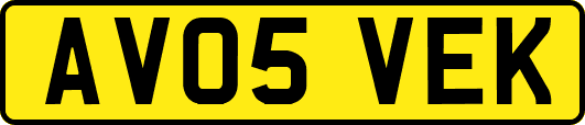AV05VEK