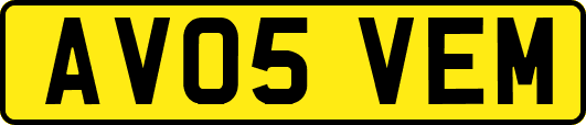 AV05VEM