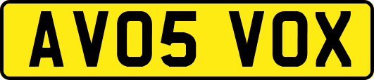 AV05VOX