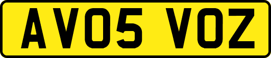 AV05VOZ
