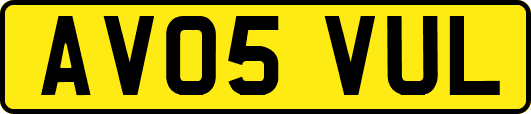 AV05VUL