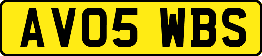 AV05WBS