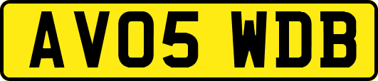 AV05WDB