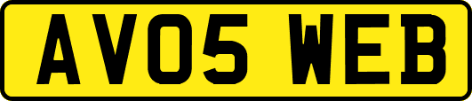 AV05WEB