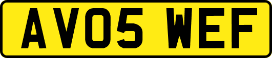 AV05WEF