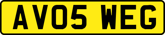 AV05WEG